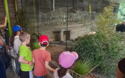 Gemeinsamer Ausflug in den Zoo